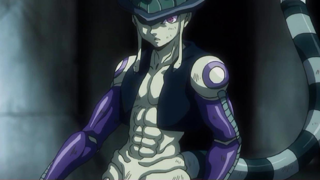 全职猎人蚁王篇解说