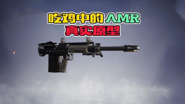 和平精英中的AMR,真实原型