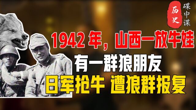 1942年,山西放牛娃有一群狼朋友,日本鬼子抢牛,竟遭狼群报复