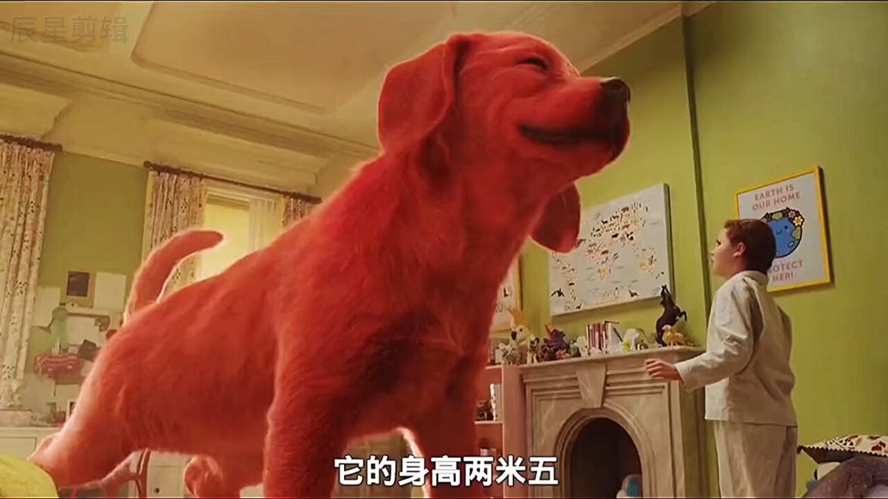 狗狗一夜之间变成巨狗第1/3集_高清1080P在线观看平台_腾讯视频