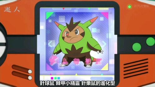 图鉴:哈力栗进化型针球鼠