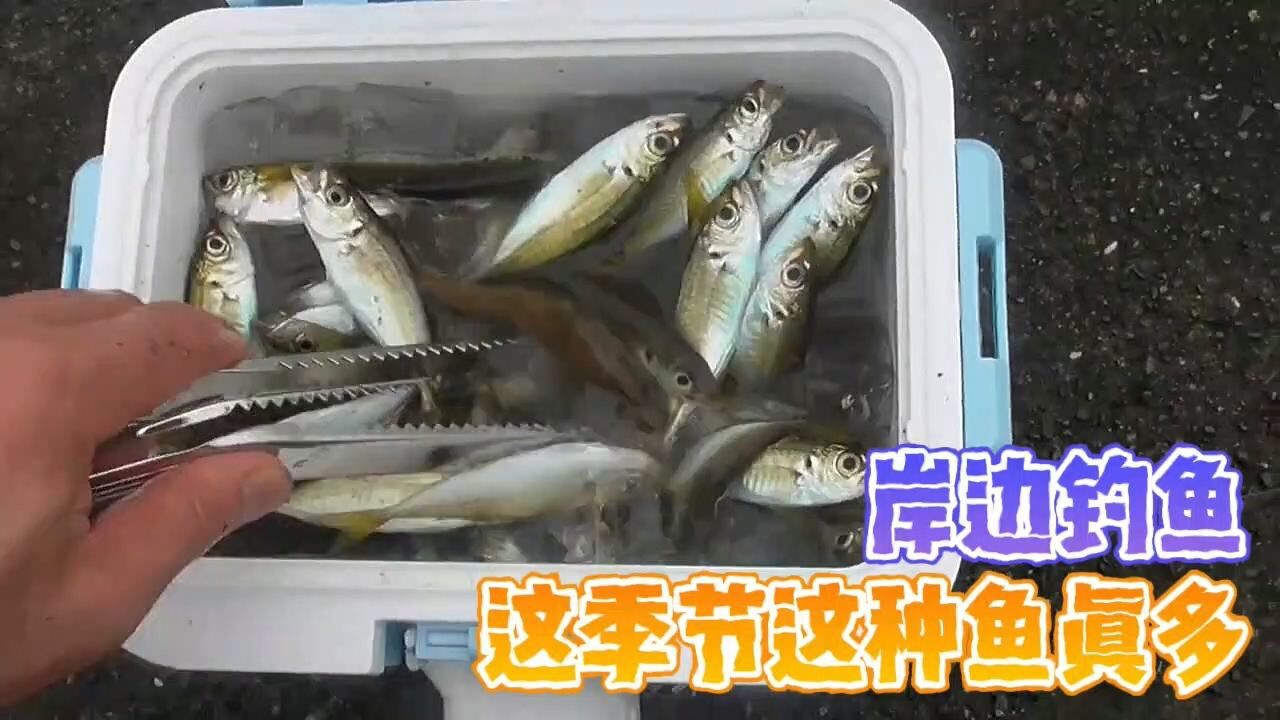 海洋百事