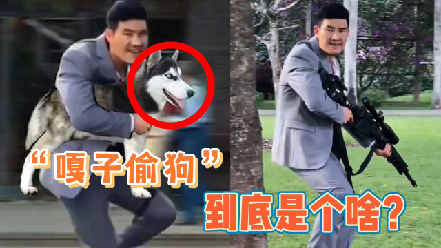 "嘎子偷狗"是什么梗?昔日童星秒变"鬼畜顶流",网友:太上头