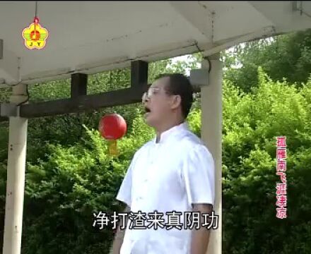 客家山歌《孤雁南飞涯凄凉》