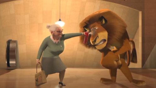 喜剧：狮子脾气太好，在地跌站被大妈暴打一顿，狮子却不敢还手！