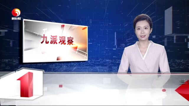 【九派观察栏目第六十四期】“瑞昌获国务院督查激励”系列报道(二)积极探索净矿出让 推进矿山综合治理