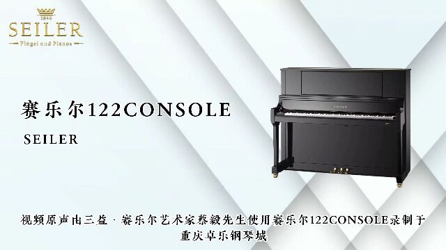 赛乐尔122Console——“声”来不凡,“音”你精彩,卓越品质,打造梦想的声音