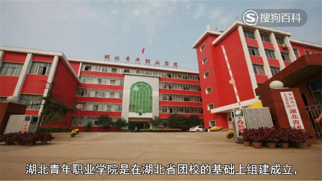 立懂百科带你了解湖北青年职业学院