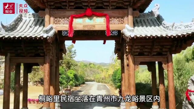 三个十大”看潍坊|青州九龙峪:一地生4金,荒山变景区