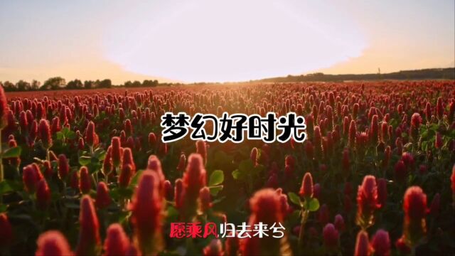 梦幻好时光