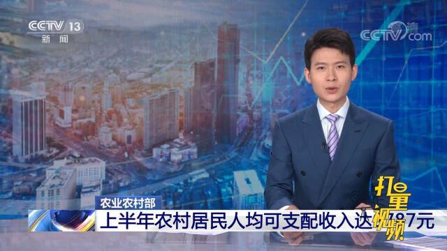 农业农村部:上半年农村居民人均可支配收入达9787元