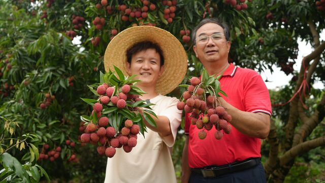 【水果猎人】冰荔、草莓荔、鸡嘴荔…这些荔枝你肯定没见过!