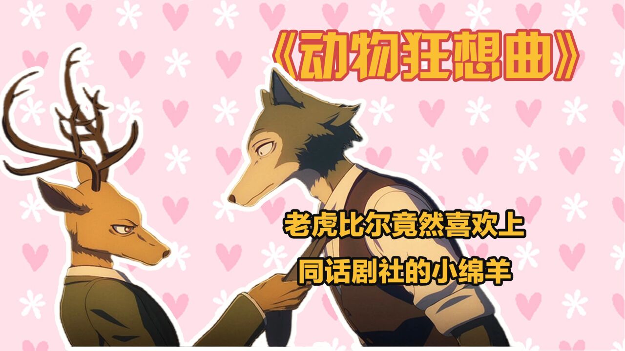 动物狂想曲:老虎比尔竟然喜欢上同话剧社的小绵羊