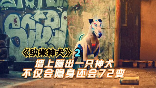 男孩意外得到了一只神犬,不料神犬趁男孩熟睡时,竟然帮他写作业