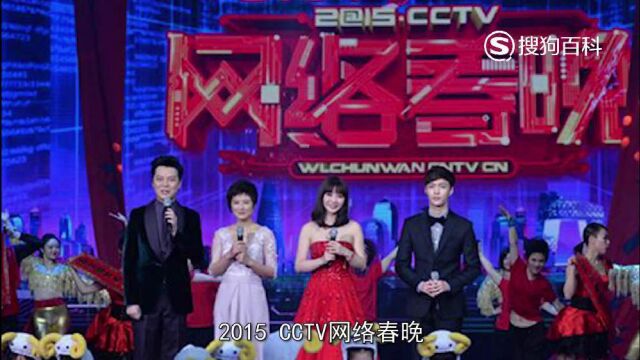 立懂百科带你了解2015年CCTV网络春晚