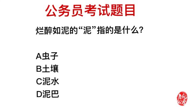 公务员考试,成语烂醉如泥的泥字,指的是什么?