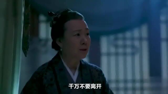 同样是将门独生女,为啥娴姐儿却没张氏那么幸运宫廷片