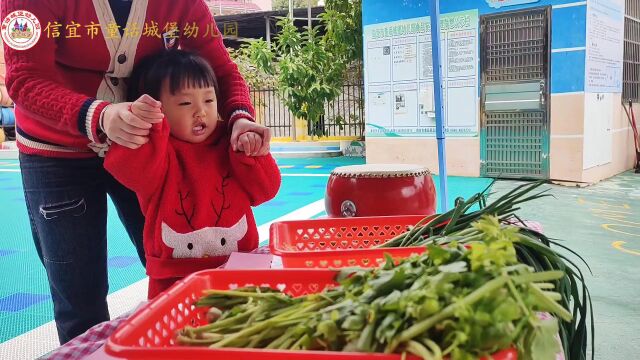 【信宜市童话城堡幼儿园】开学季①