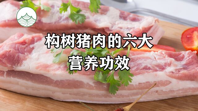 构树猪肉的6大营养功效