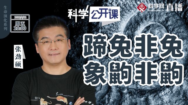 中科院《科学公开课》|张劲硕:蹄兔非兔,象鼩非鼩