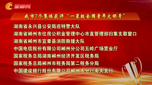 郴州市7个集体获评“一星级全国青年文明号”