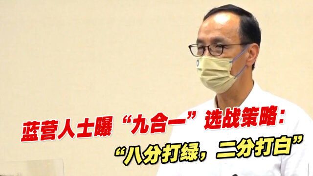 蓝营人士曝“九合一”选战策略:“八分打绿,二分打白”