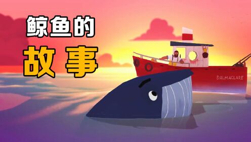 海洋生物为了活命，主动打捞海里垃圾：《鲸鱼的故事》