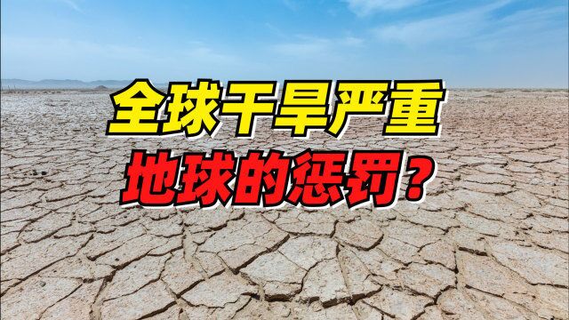 欧洲正经历500年来最严重干旱,农作物减产,通胀率高涨影响生活