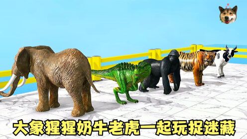 益智游戏：大象猩猩奶牛老虎霸王龙一起玩捉迷藏游戏，有趣极了！