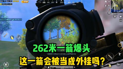 无声版AWM！262米一枪爆头，敌人却毫无察觉