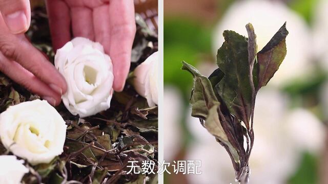 宝福林花香白茶