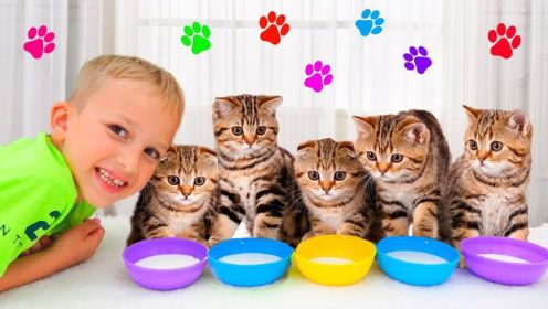 尼基兄弟：尼基和他的五只小猫咪，他们会发生什么有趣的故事呢？