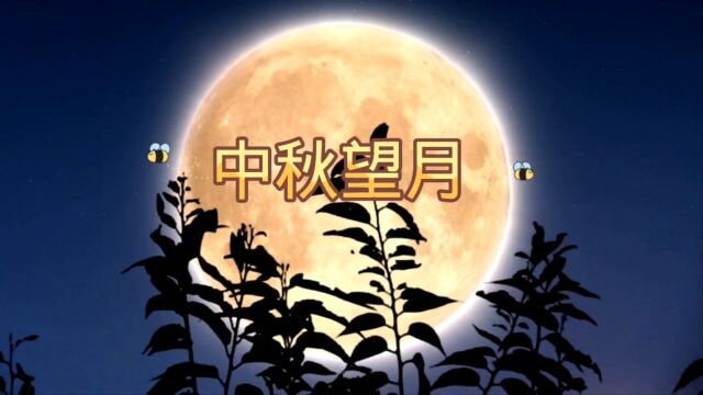 闲吟秋景事悠悠,此夜无月虚过秋