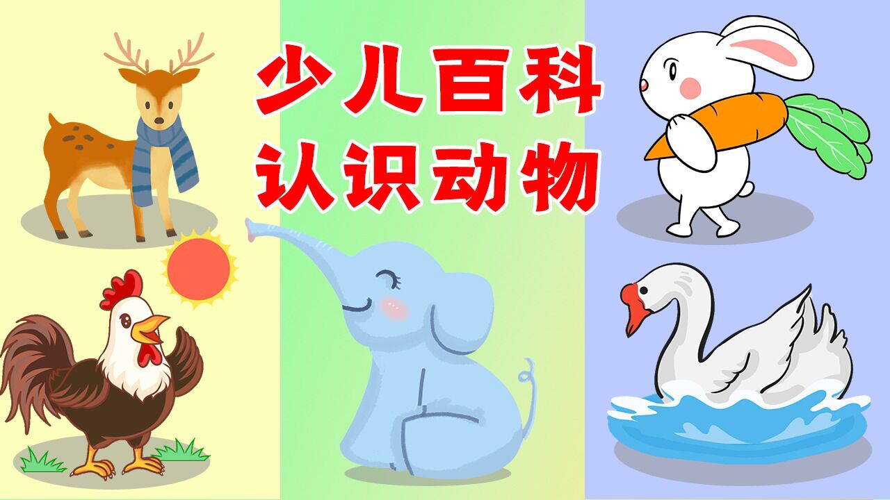 工程车儿童颜色乐园_少儿百科启蒙动画,教小朋友认识动物_高清1080P在线观看平台_腾讯视频