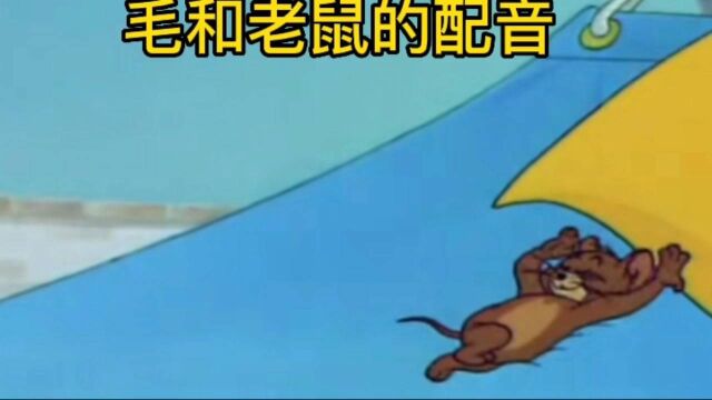 毛和老鼠的配音笑死你