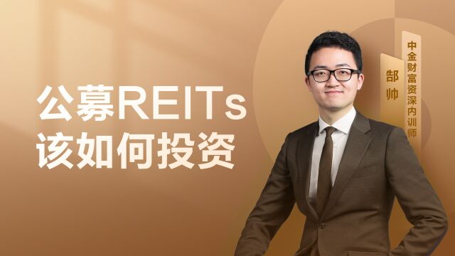 公募REITs该如何投资