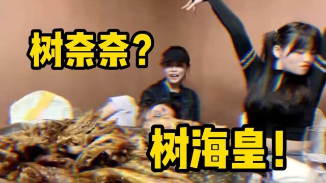 【树奈奈】你以为树皇的名字是怎么来的