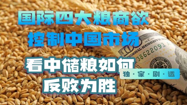 国际四大粮商欲掌控中国粮食市场,中储粮予以反击、反败为胜