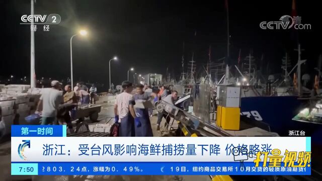 浙江:渔船陆续返港!受台风影响捕捞量下降,价格略涨