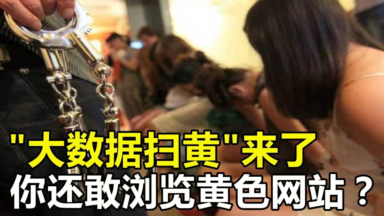 什么是“大数据扫黄”？看完你还敢上黄色网站，去“洗头房”吗？_高清