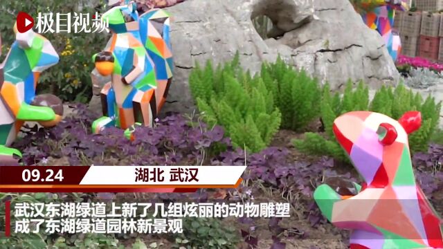 【视频】彩色动物雕塑“萌”了东湖绿道游客