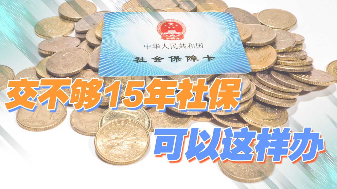 达到退休年龄后,养老保险未缴够15年的人,可以这样弥补_高清1080P在线观看平台_腾讯视频