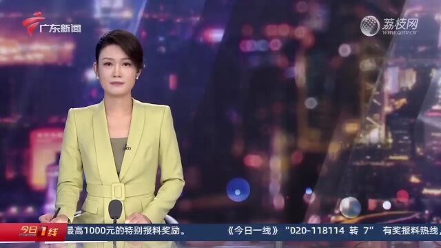 佛山 :连接“中国最美林场” 云勇公路正式通车