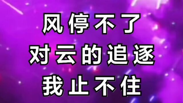 风停不了对云的追逐,我止不住对你的爱慕井痴情的毒#完整版 #新歌推荐