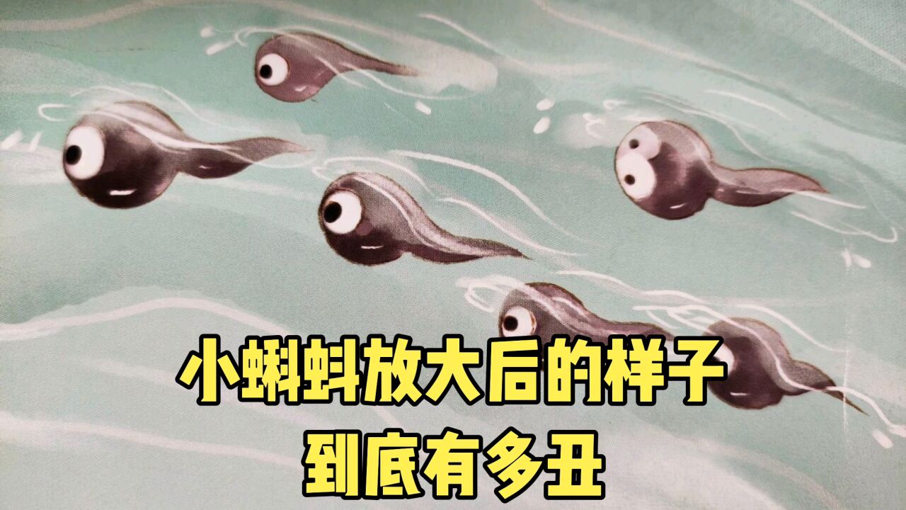 小蝌蚪放大后的样子到底有多丑_腾讯视频