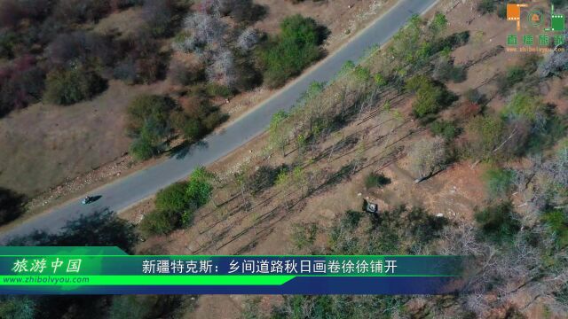 视频:新疆特克斯:乡间道路秋日画卷徐徐铺开