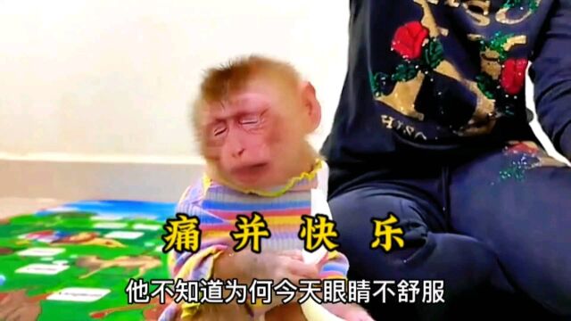 小猴子吃洋葱,一边哭一边高兴的吃着,这就痛与快乐并存.