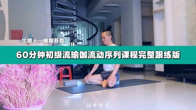 60分钟初级流瑜伽流动序列课程完整跟练版 瑜伽苏哲