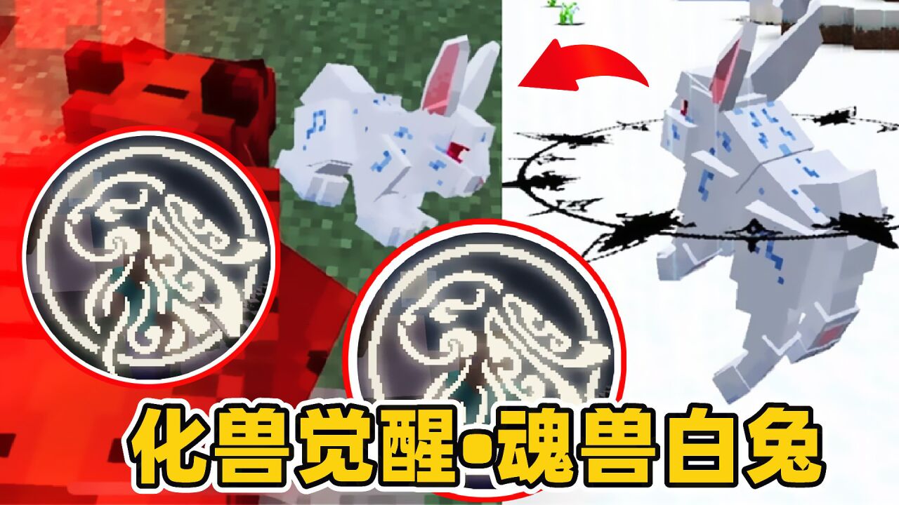 我的世界斗罗生存181:新化兽觉醒,白兔魂兽升到3万年!_高清1080P在线观看平台_腾讯视频