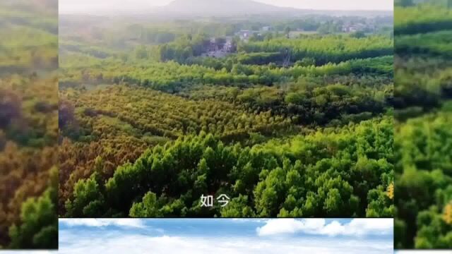 南阳:绿水青山,涵养幸福家园